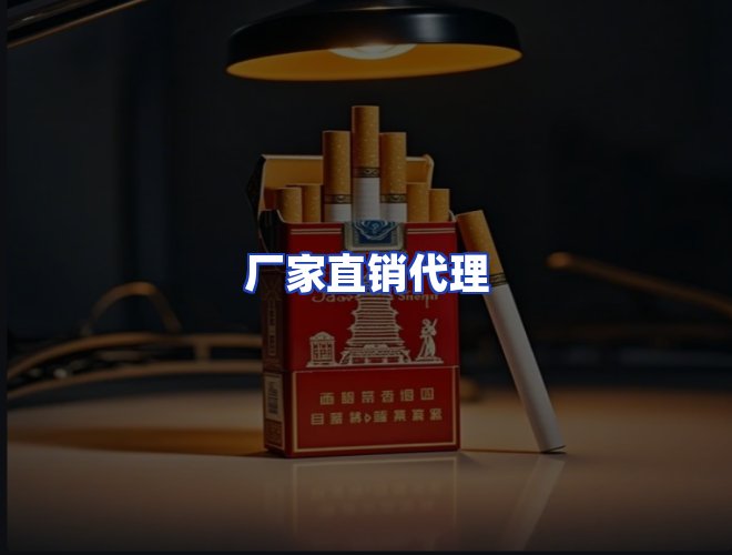 专业团队